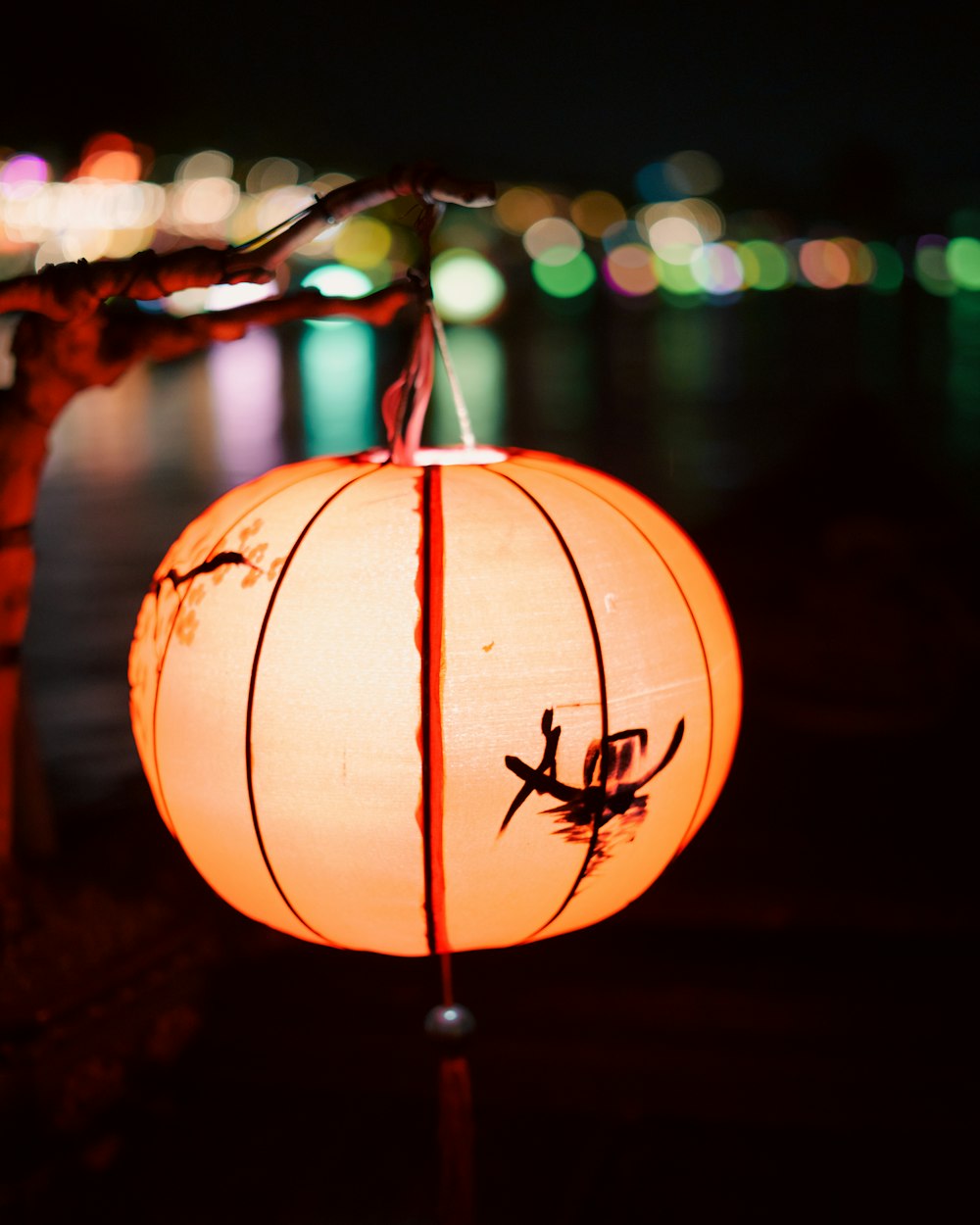 a chinese lantern with a dragon drawn on it