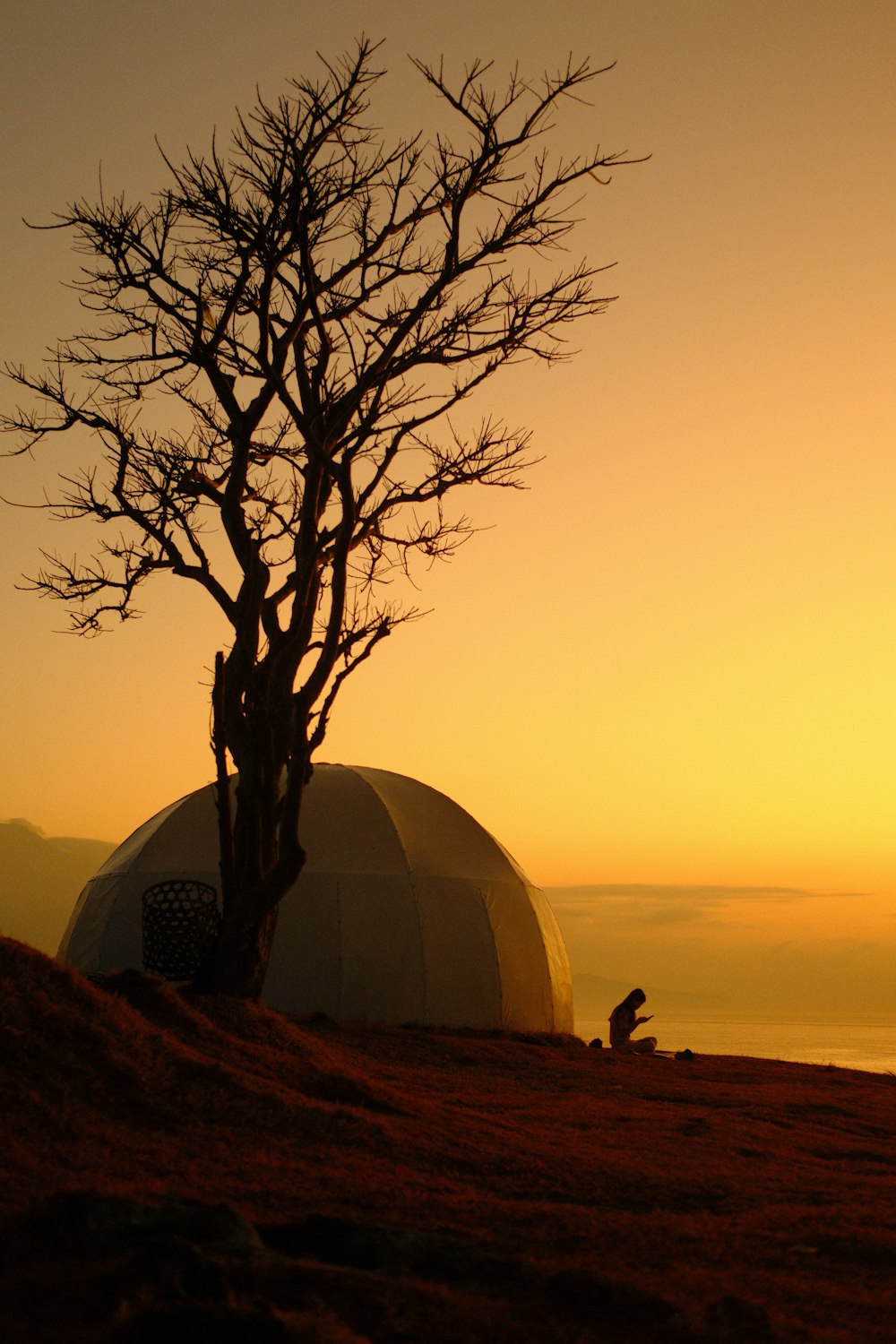 a lone tree in front of a dome on a hill