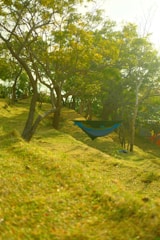 A serene green area with hammocks set under trees, inviting relaxation and leisure.