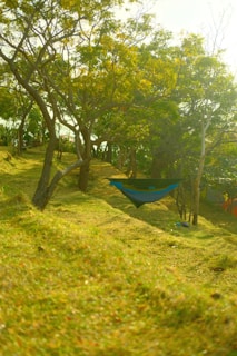 A serene outdoor setting with a cozy hammock between two trees.