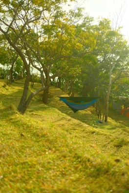 A cozy hammock chair set up in a serene outdoor setting.