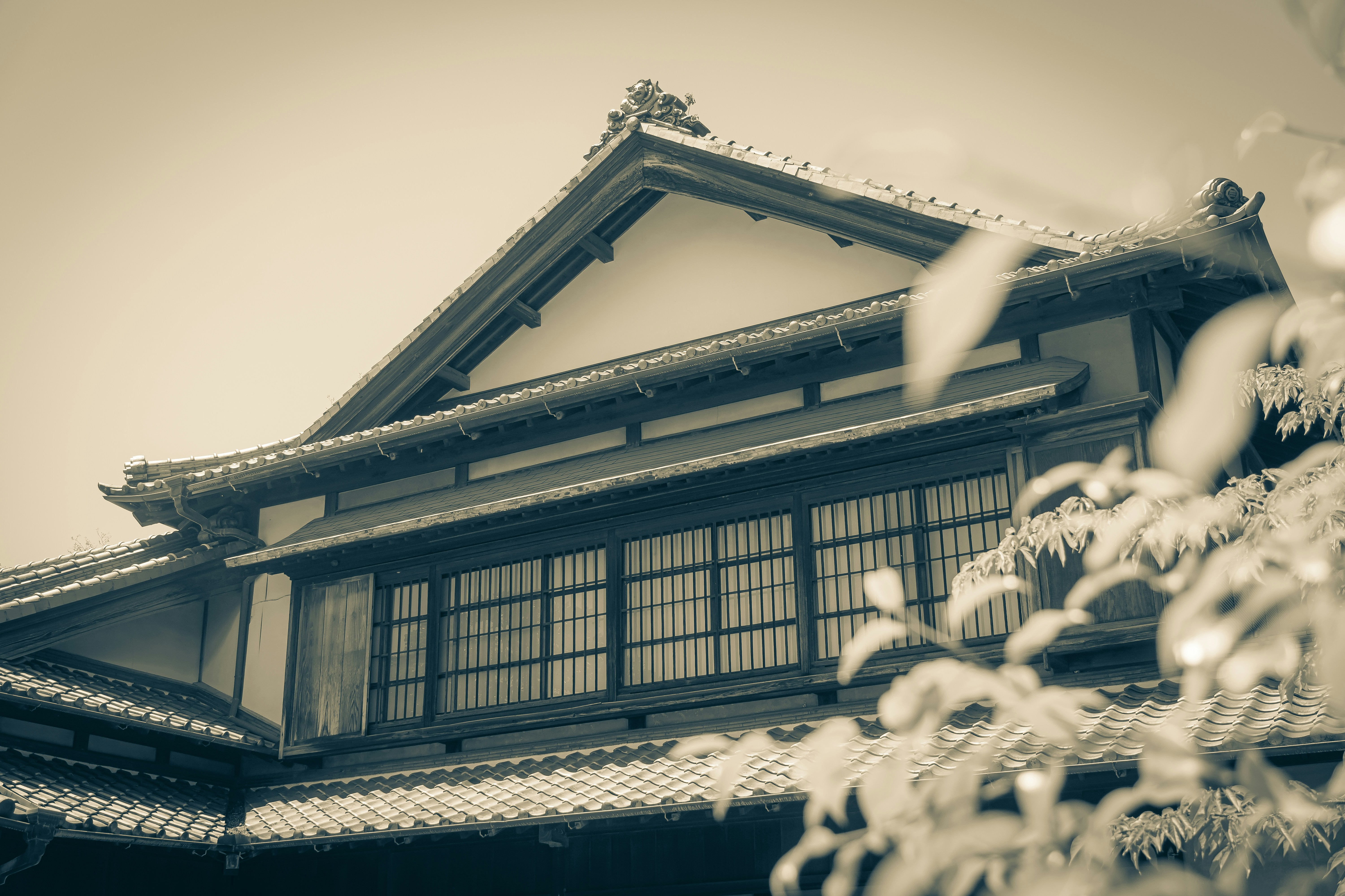 Photo by s_tsuchiya