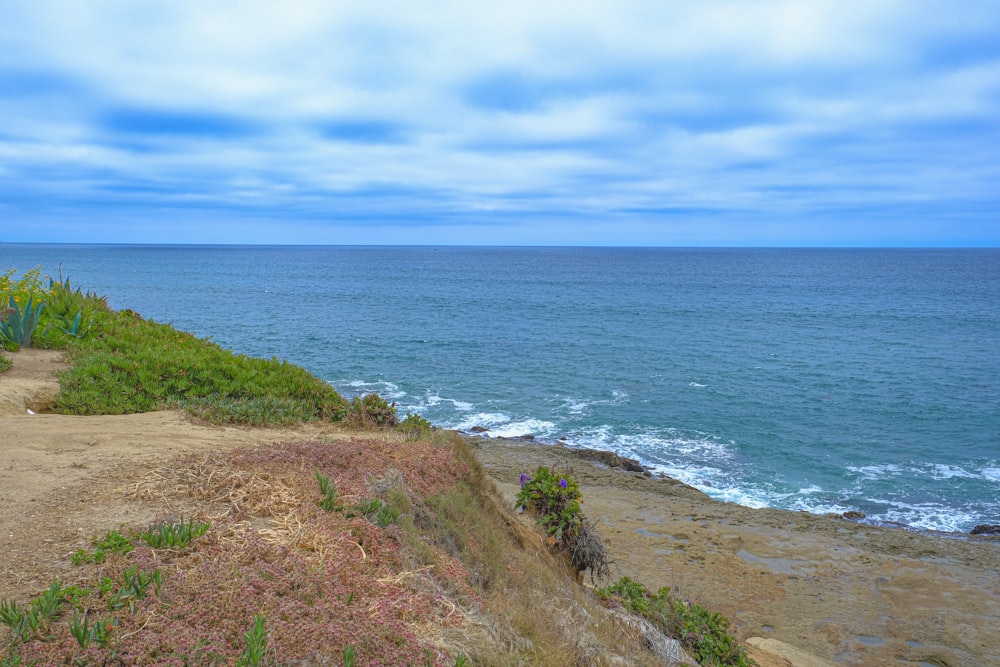 a bench sitting on the edge of a cliff overlooking the ocean