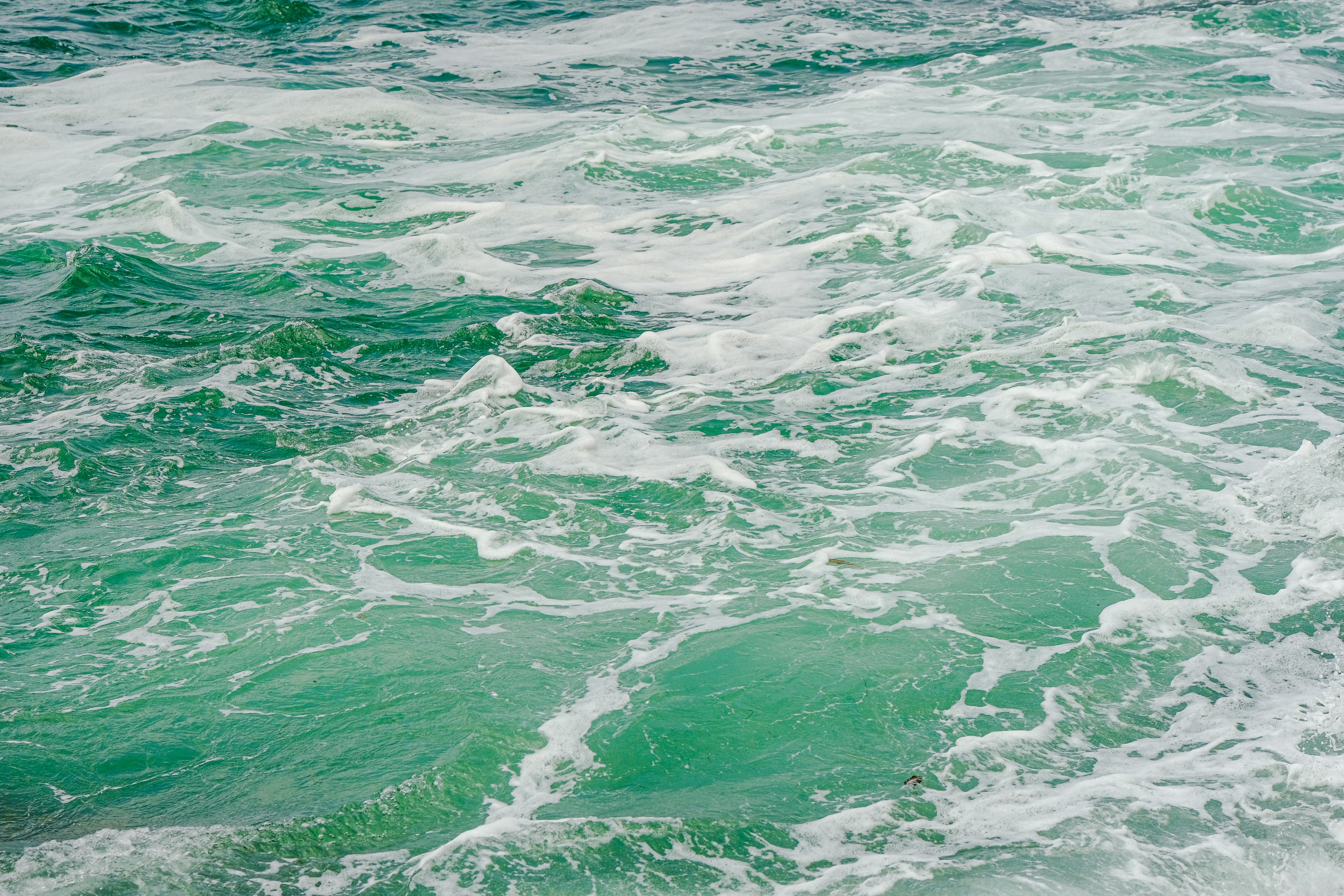 Photo by cestmoisheedy