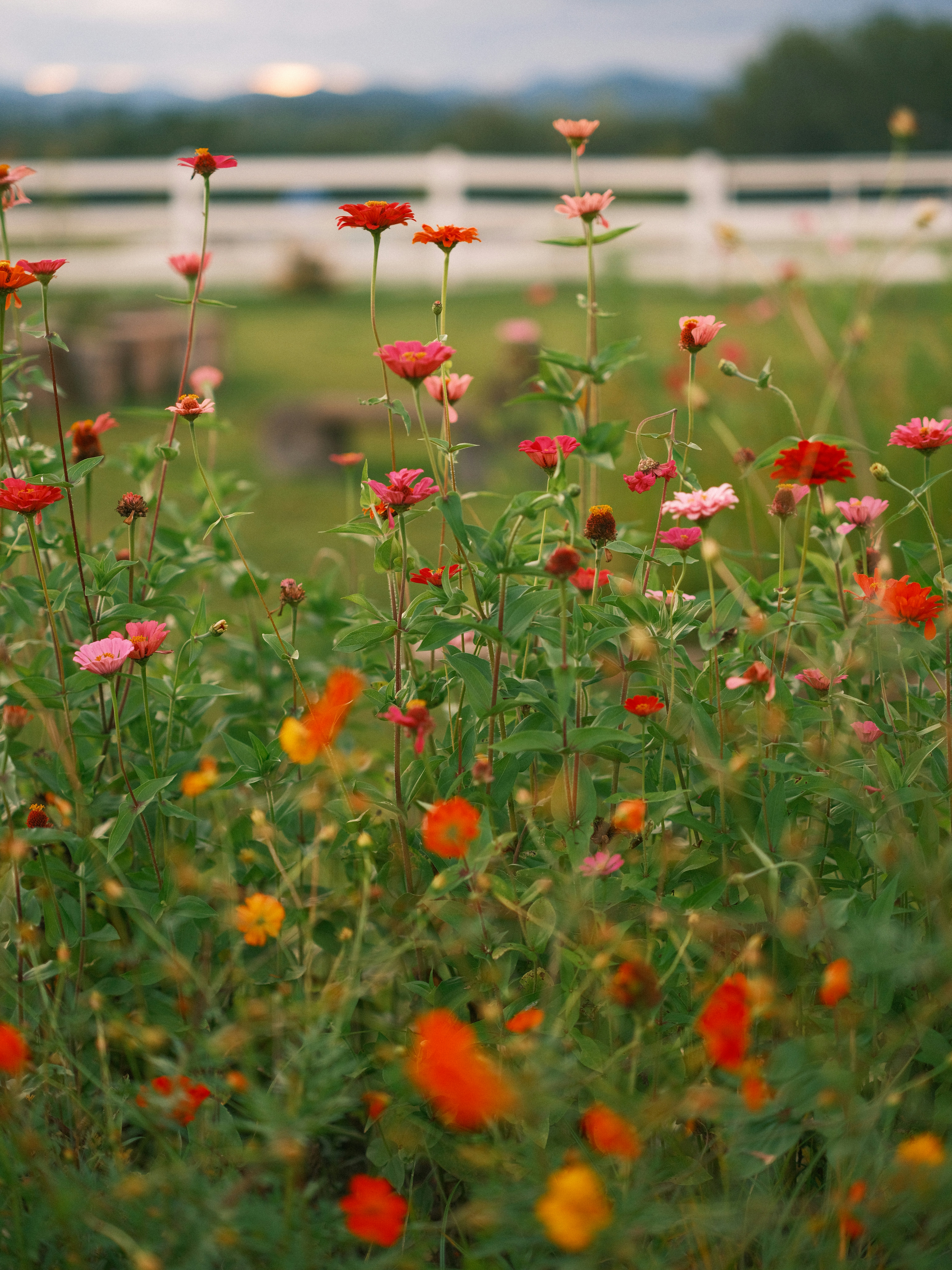 Photo by taylorheeryphoto