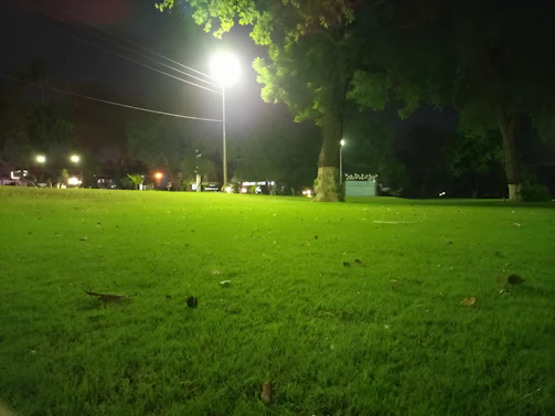 A vibrant football field with lush synthetic grass under bright stadium lights at dusk.