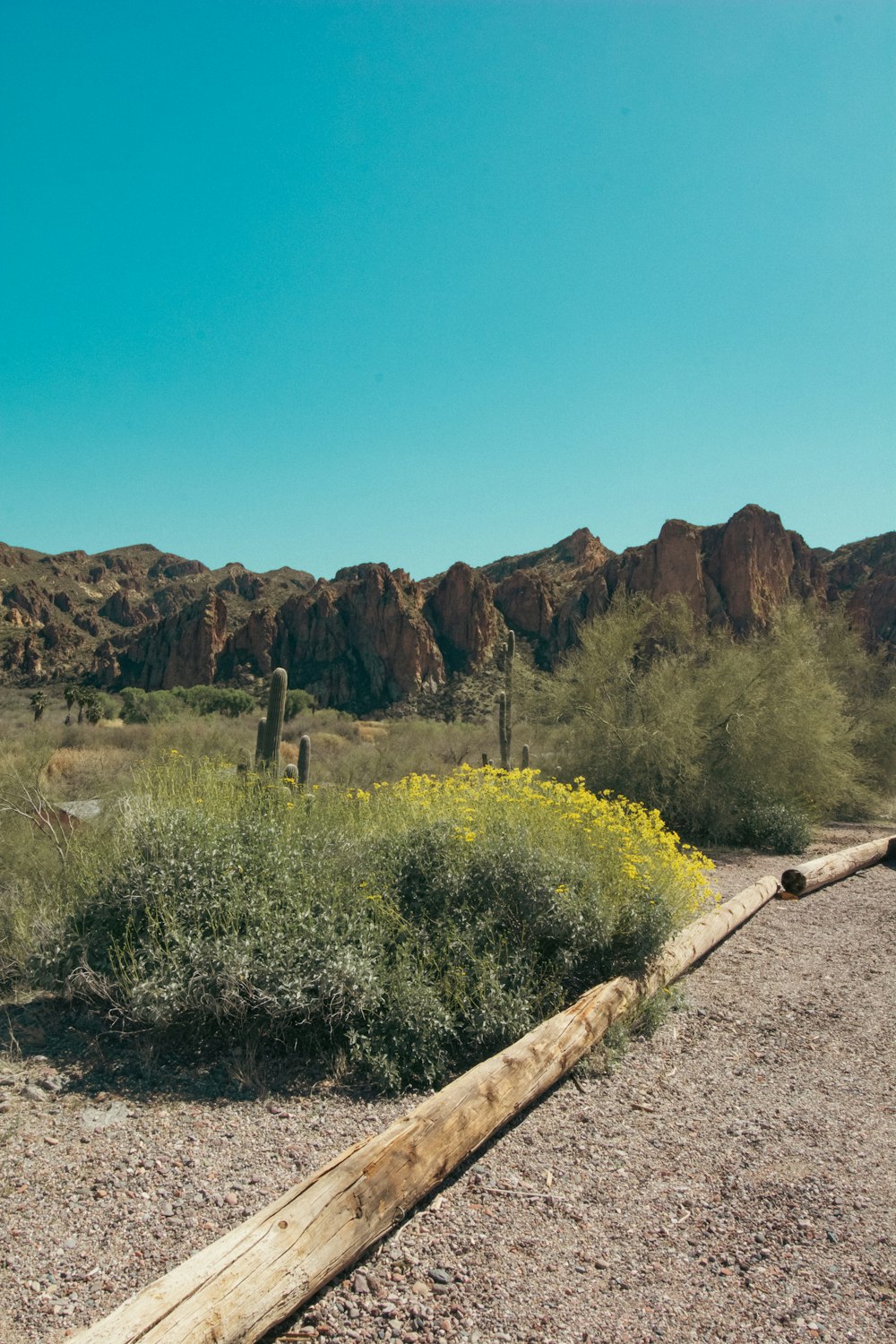 a wooden bench sitting in the middle of a desert