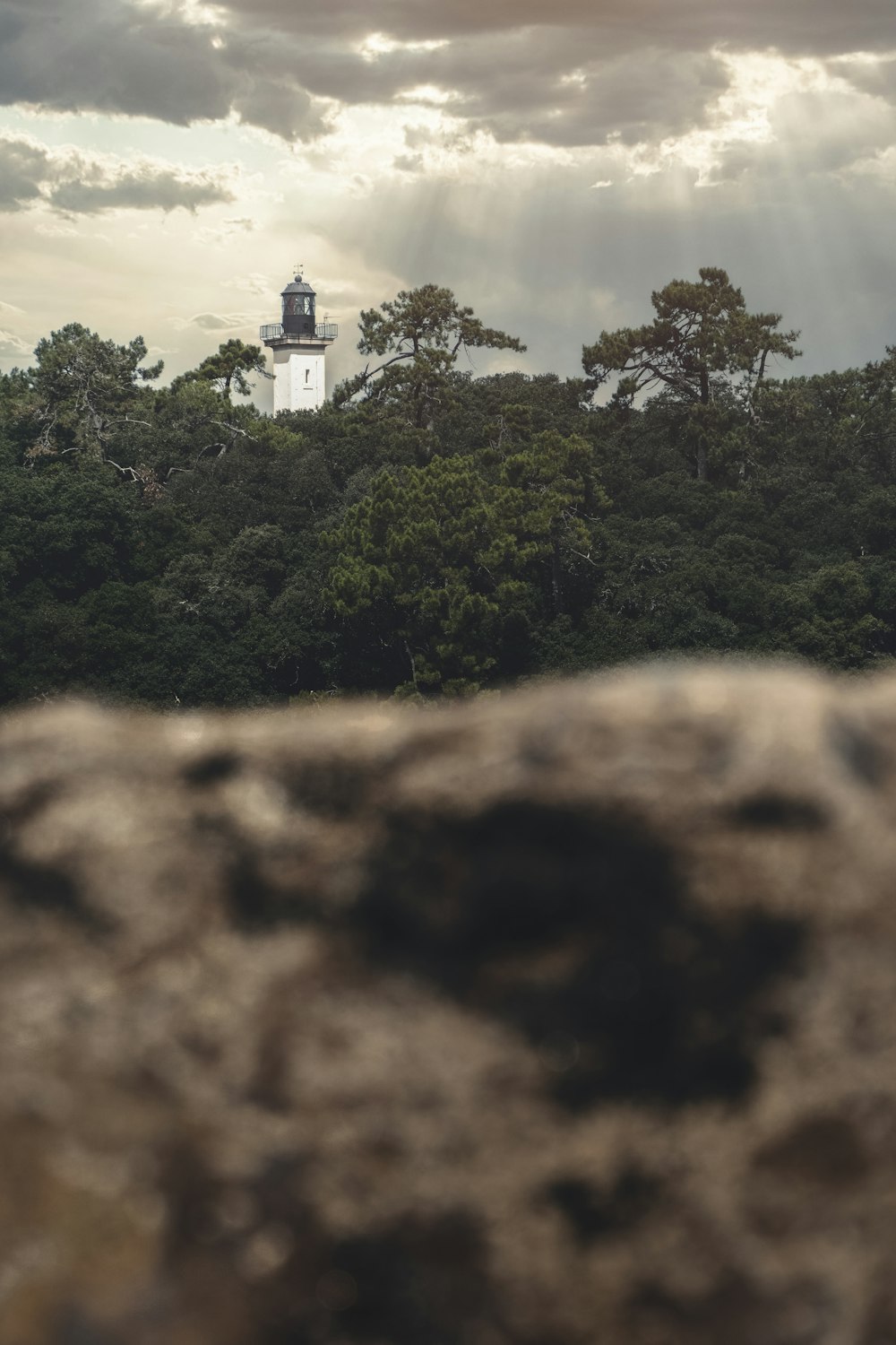 a lighthouse on top of a hill with trees in the background