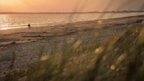 A peaceful scene of an elderly couple enjoying a sunset on a beach, symbolizing retirement freedom.