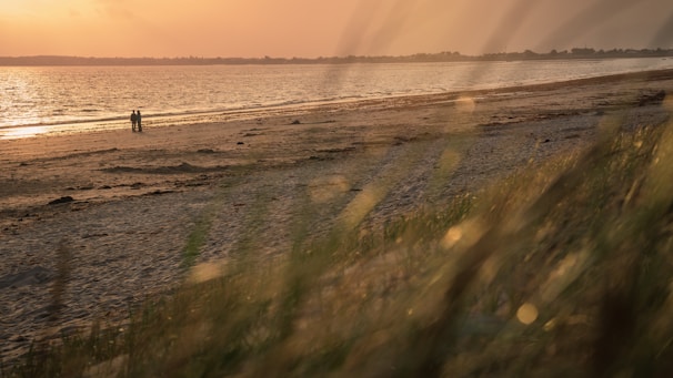 A couple enjoying a serene sunset on a secluded beach with gentle waves