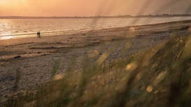 A serene beach scene at sunset with a couple walking along the shoreline. The sun casts a warm glow across the water, and the foreground is softly blurred with grass.