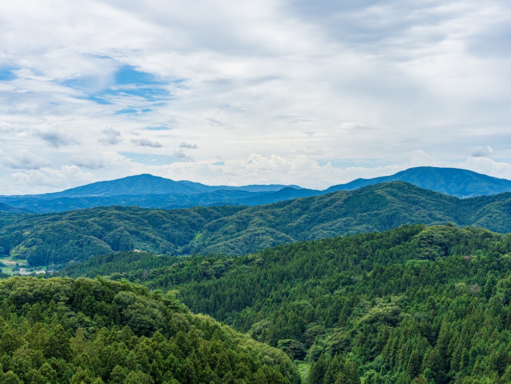 a scenic view of the mountains and trees