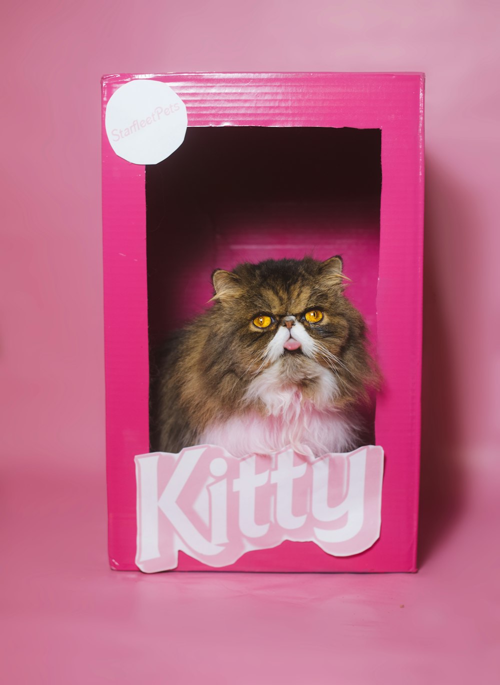 a cat sitting inside of a pink kitty box