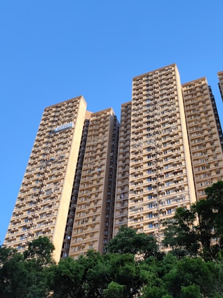 A cluster of tall residential apartment buildings with numerous balconies and windows. The structures are set against a clear blue sky, with lush green trees at the base, adding a natural contrast to the urban architecture.
