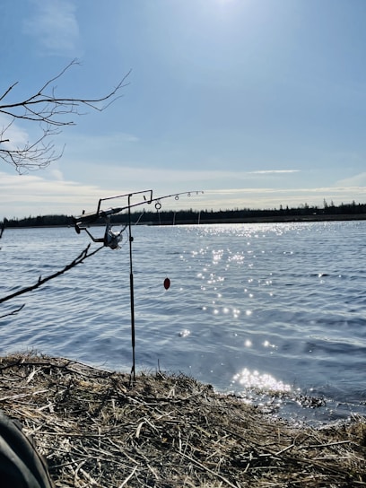 A peaceful suburban lake at sunrise with a fishing rod resting on the shore.