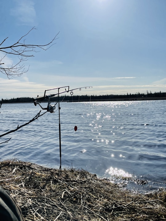 Natural outdoor setting with fishing gear and lures by the water.