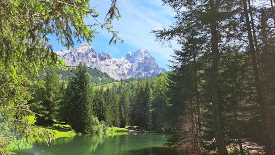 A serene landscape featuring a crystal-clear lake surrounded by dense forests. In the background, majestic snow-capped mountains rise against a bright blue sky. Lush green trees frame the scene, creating a tranquil and natural setting.
