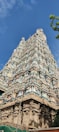 An intricately carved temple tower rises against a clear blue sky, featuring detailed sculptures and ornate decorations in various colors. The architecture displays a traditional South Indian style, characterized by multiple tiers adorned with carvings of deities and geometric patterns. A few green trees partially frame the structure on the right side, adding a natural element to the scene.