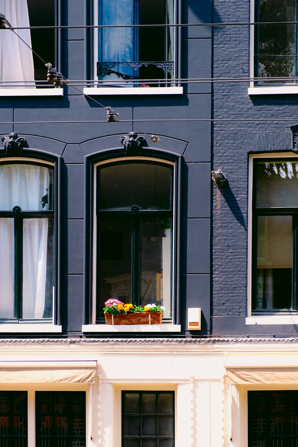 a blue building with two windows and a planter in the window