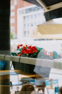 Compact planter boxes arranged neatly on a minimalist balcony railing with fresh vegetables.