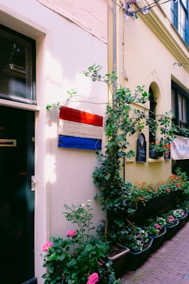 A charming alleyway features a wall adorned with a tricolor wooden decoration, suggesting a nod to the Dutch flag. Lush green foliage and vibrant flowers in shades of pink and red line the path, creating a welcoming atmosphere. The soft pastel tones of the walls add warmth to the scene. Decorative elements such as potted plants and wall art contribute to the cozy, inviting ambience.