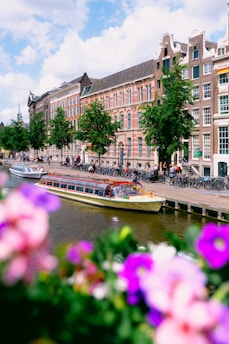 A canal boat is docked beside a row of traditional Dutch canal houses characterized by gabled roofs and brick facades. Trees line the street, and several bicycles are parked along the sidewalk. Bright pink and purple flowers are in the foreground, slightly out of focus.