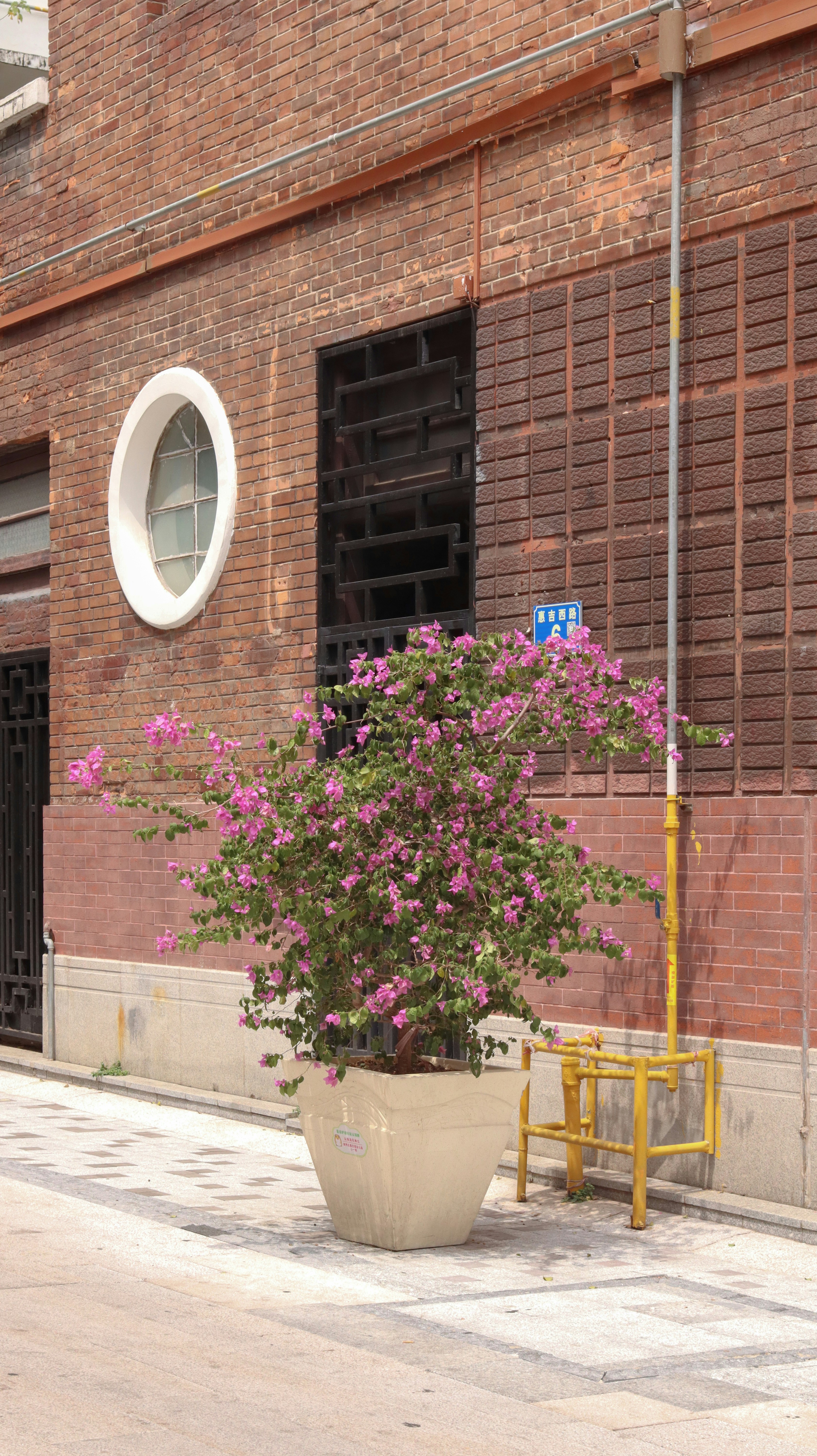 Photo by quinn_yikang