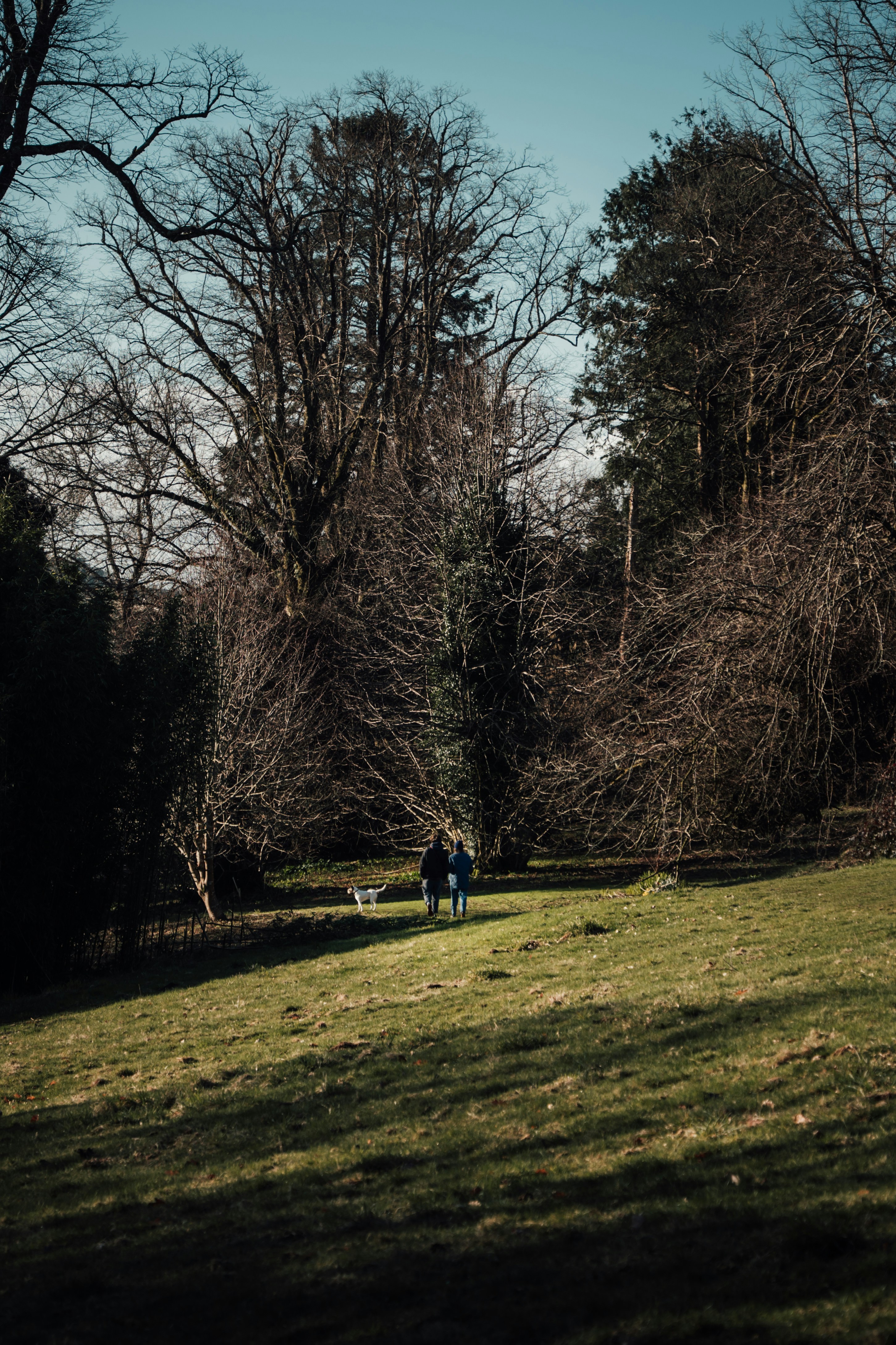 Photo by winstontjia