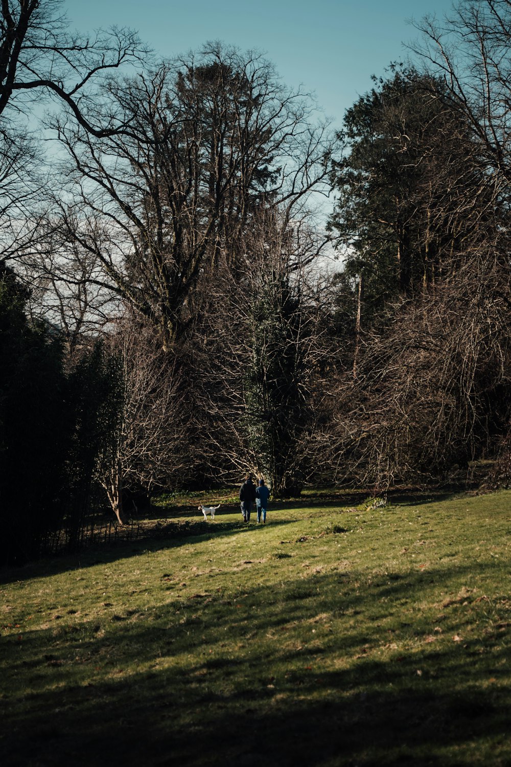 a couple of people standing on top of a lush green field