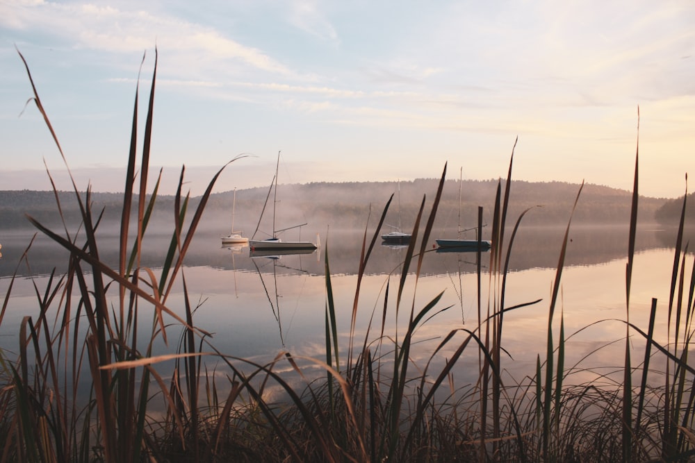 a group of boats floating on top of a lake