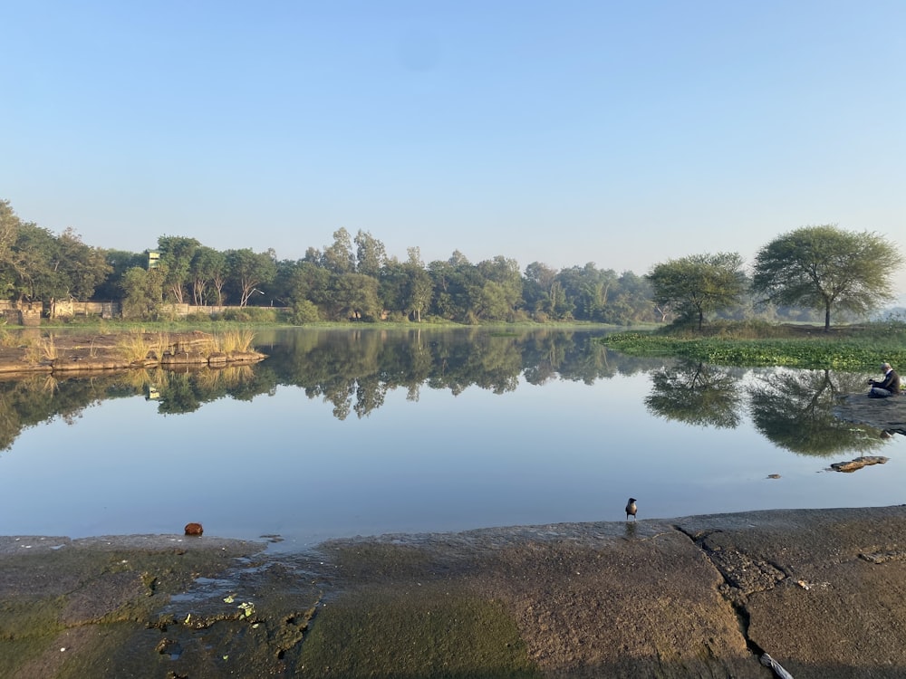 a body of water with trees in the background