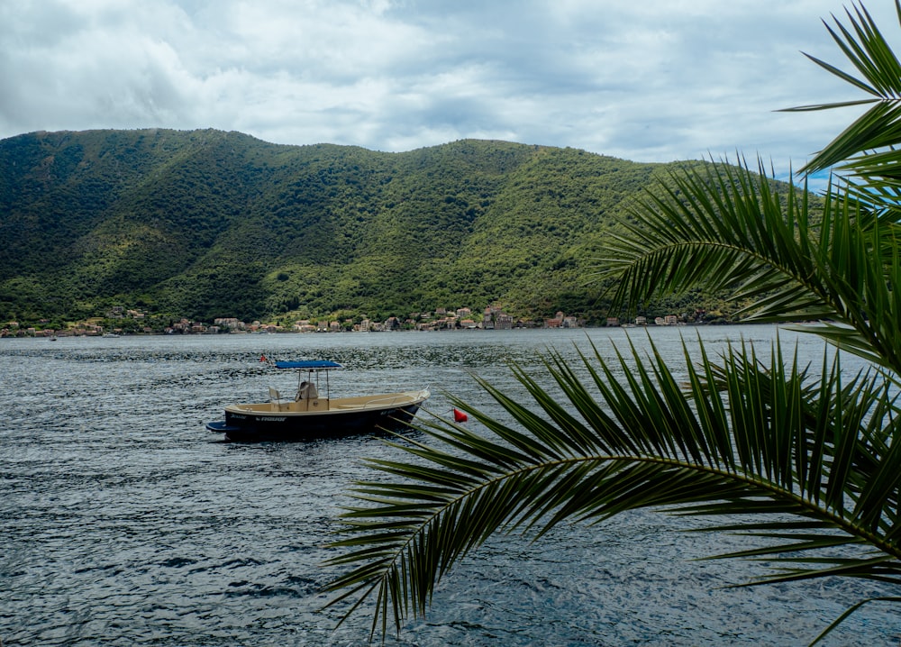 a boat floating on top of a lake next to a lush green hillside