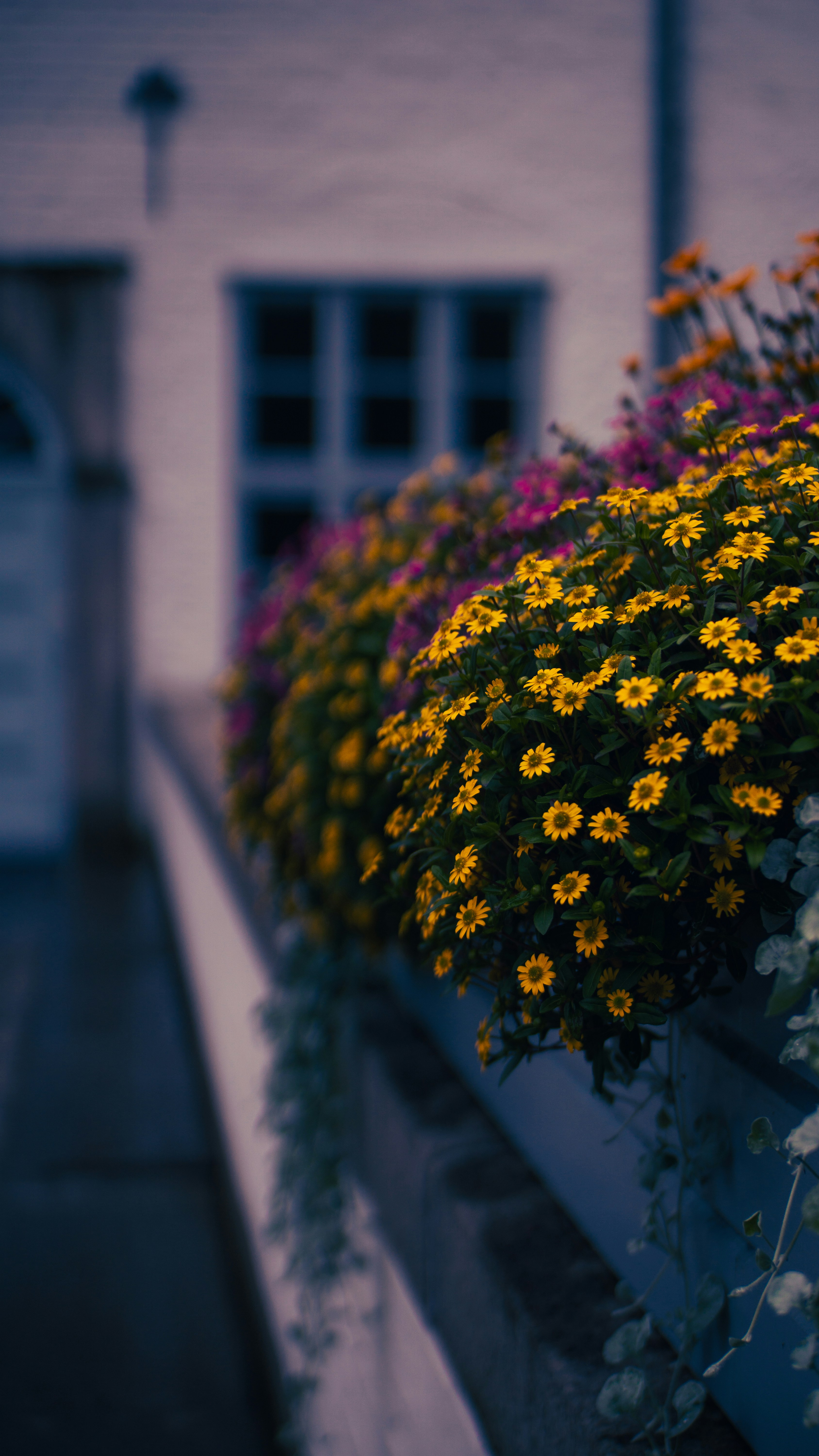 SPD Ahrensburg, Schloss 