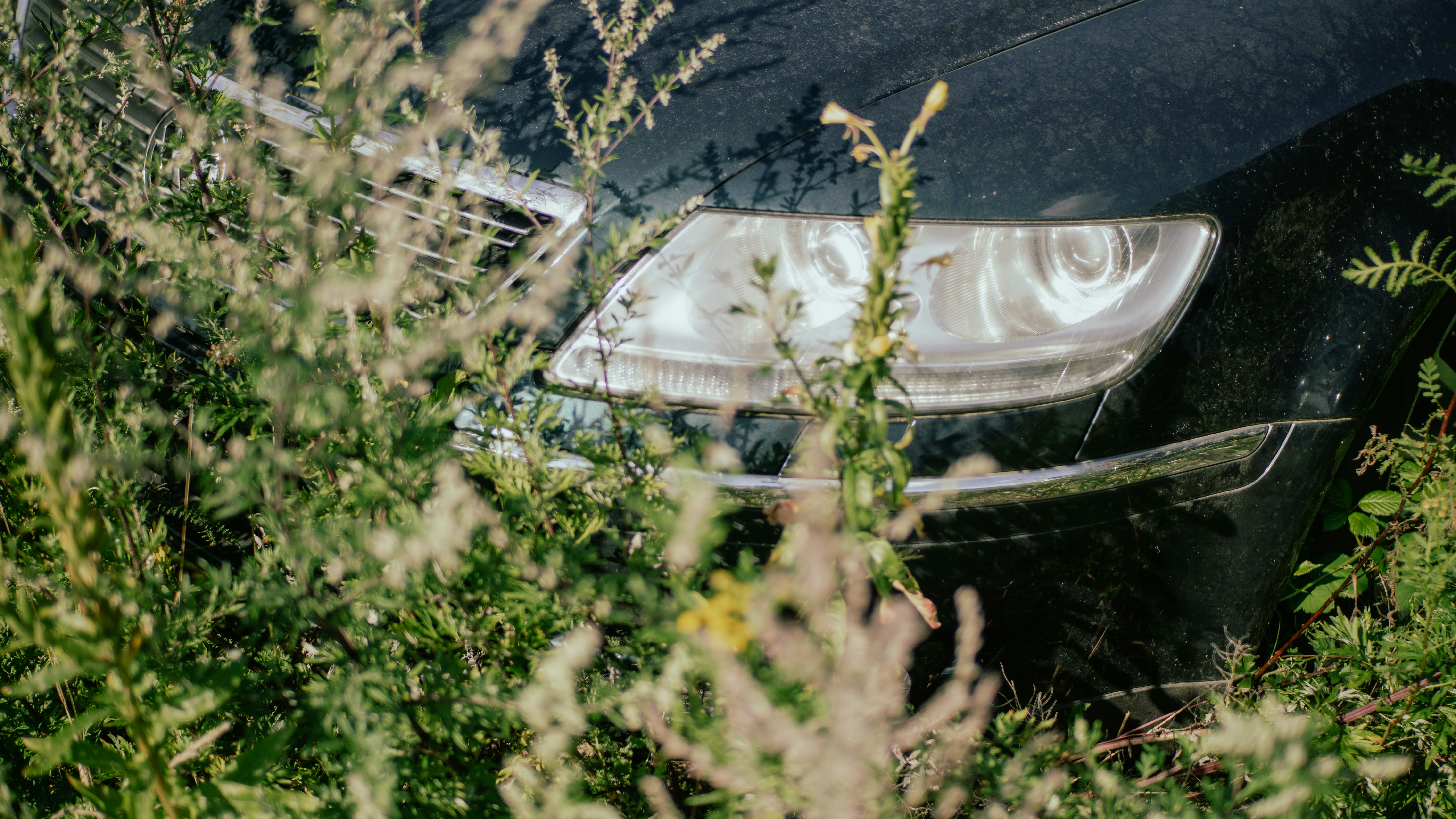 Gece vaktinde sisli bir atmosferde beliren, gizemli ve hafif bulanık bir araba plakası; rüya, kimlik ve bilinmezlik temasını simgeliyor.