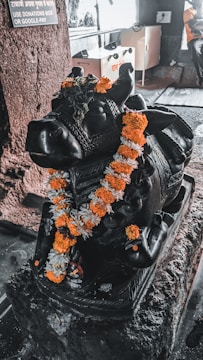 A black stone sculpture of a bull adorned with an orange and white marigold garland sits on a pedestal. The setting appears to be indoors, with stone walls and a donation box in the background.