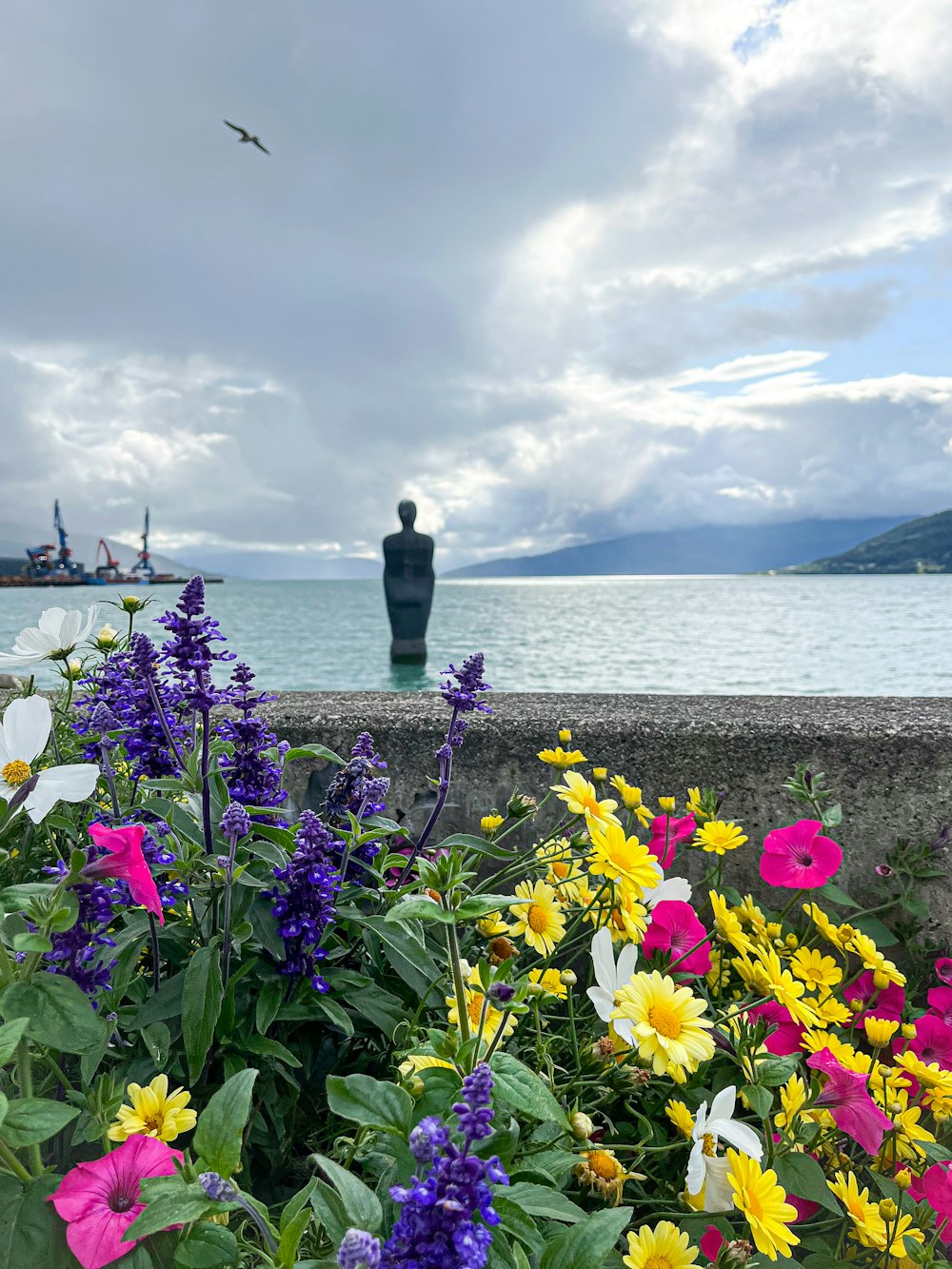 a bunch of flowers that are by a body of water