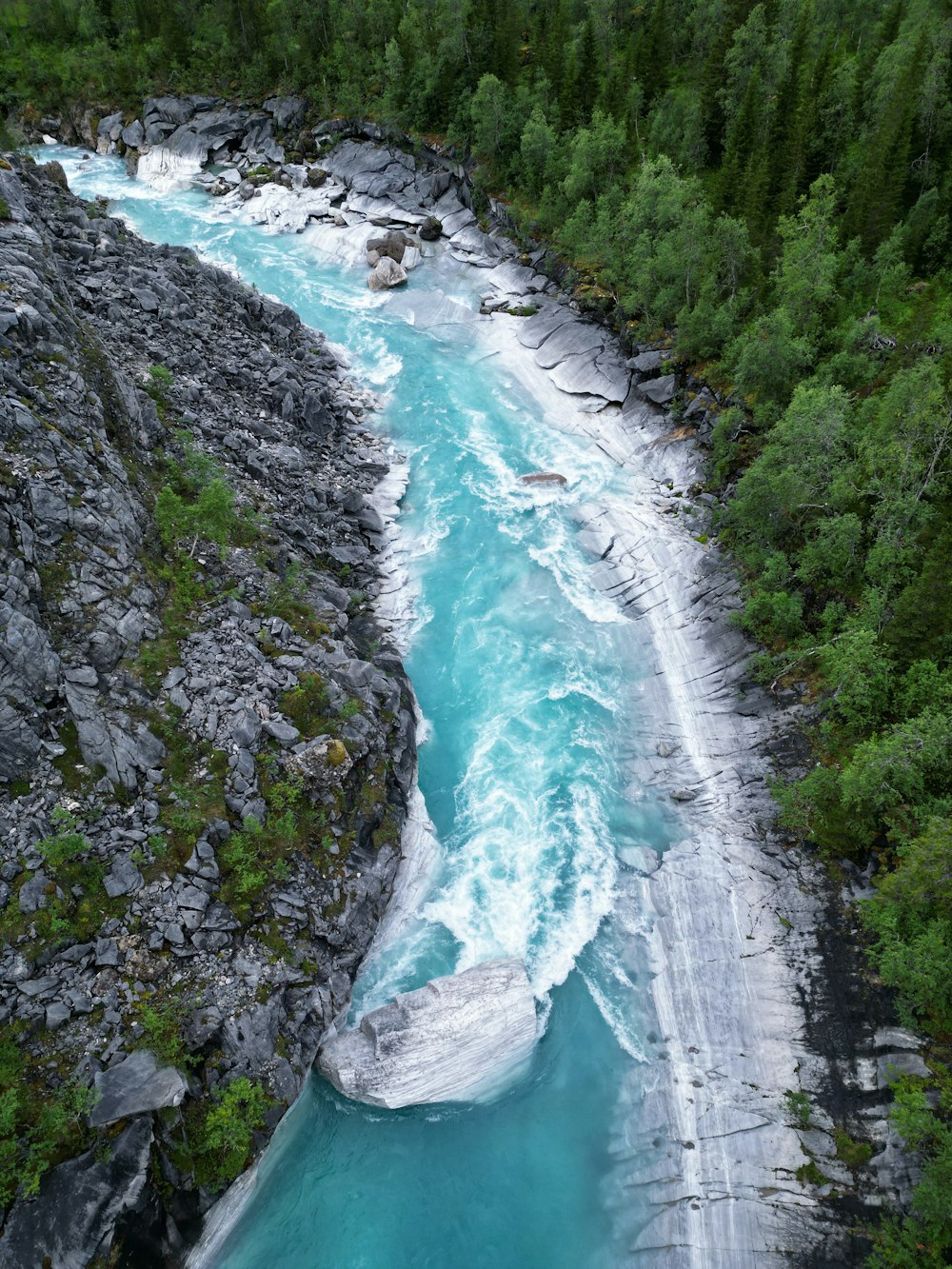 a river flowing through a lush green forest