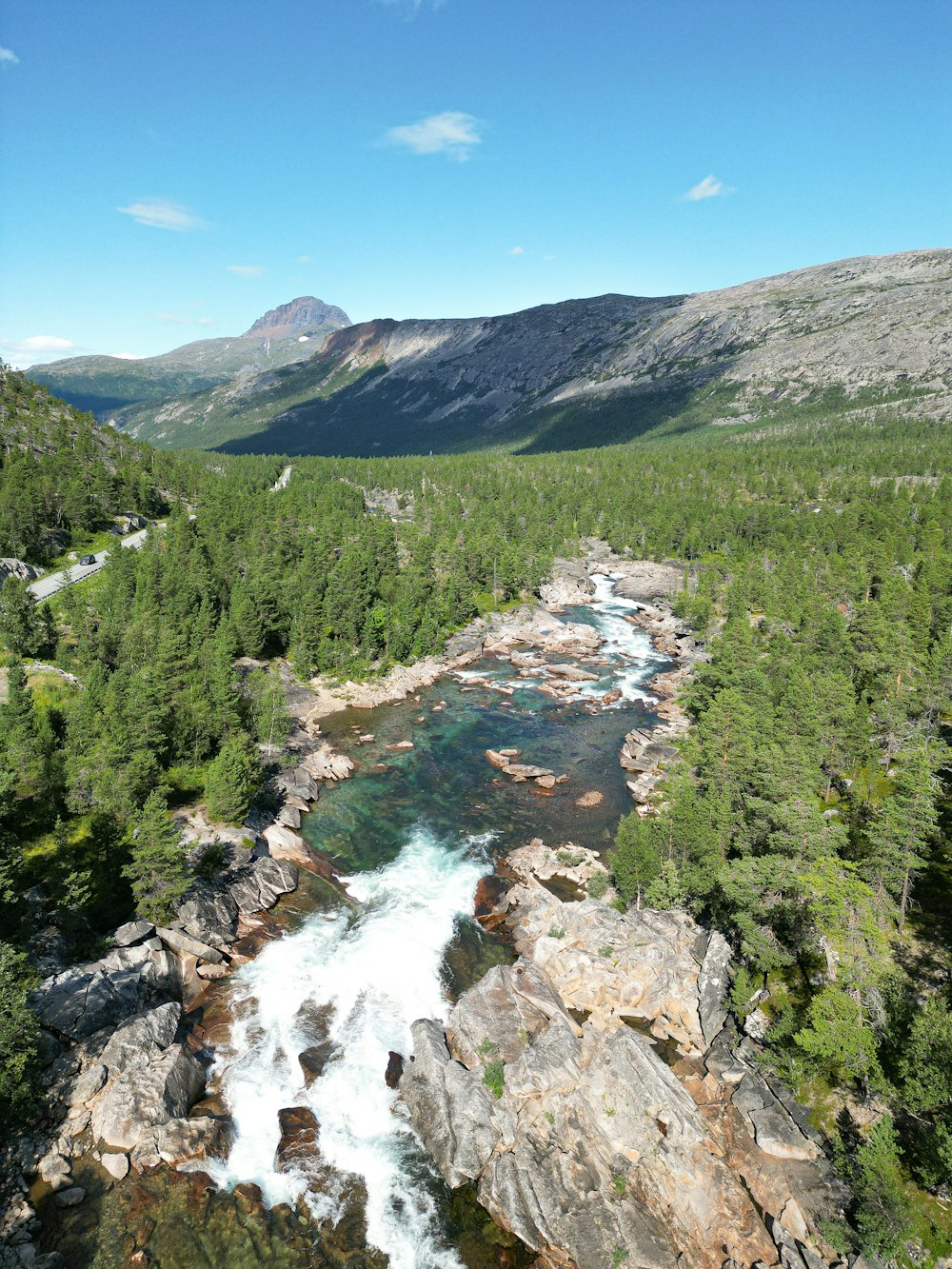 a river running through a lush green forest