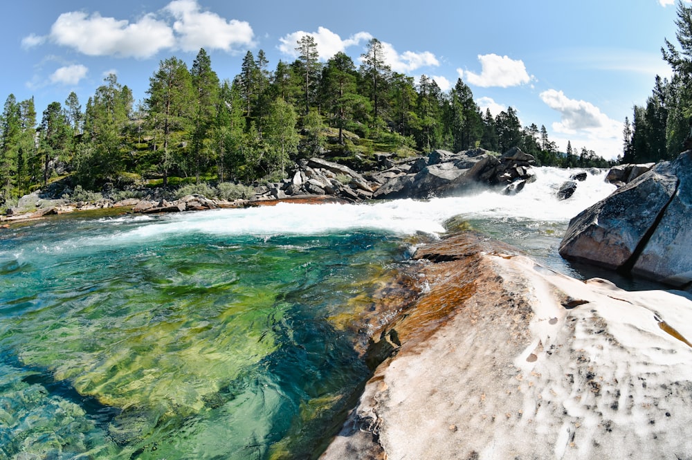 a body of water surrounded by trees and rocks