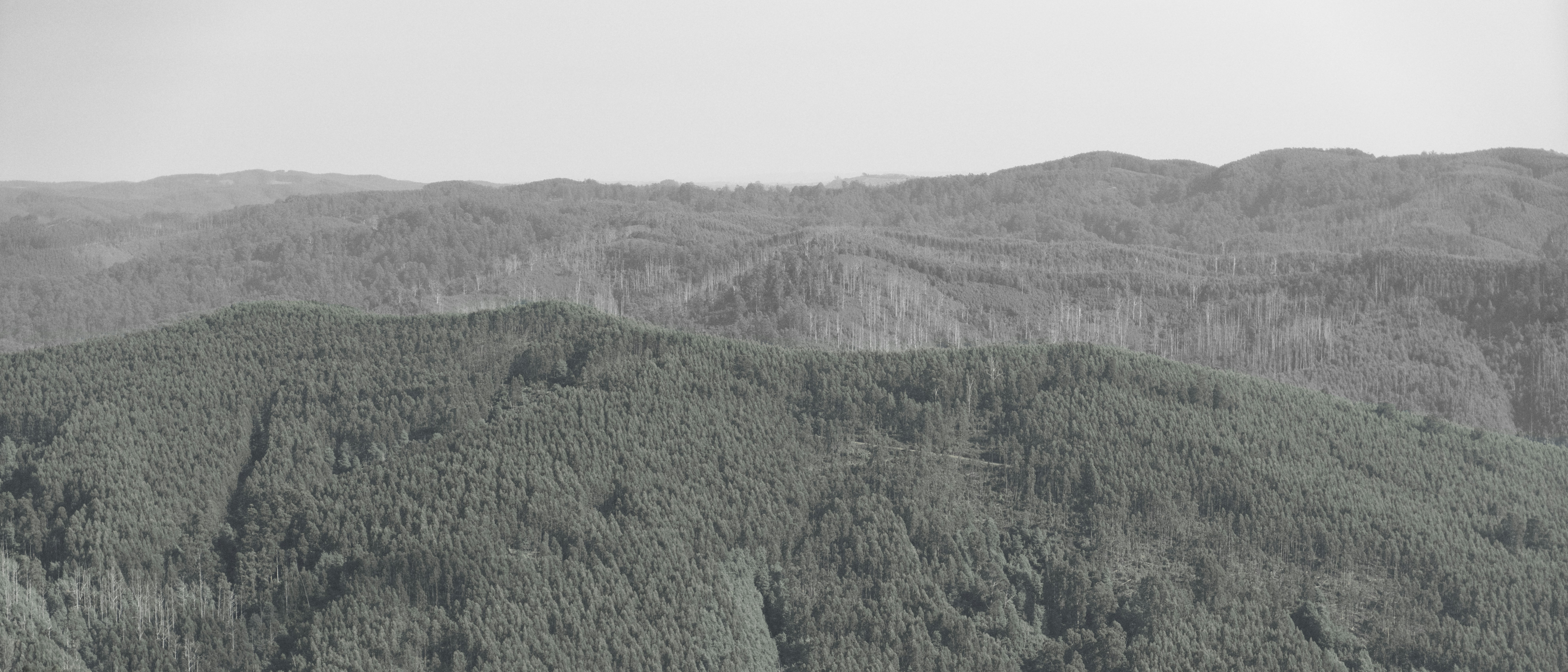 a black and white photo of a mountain range