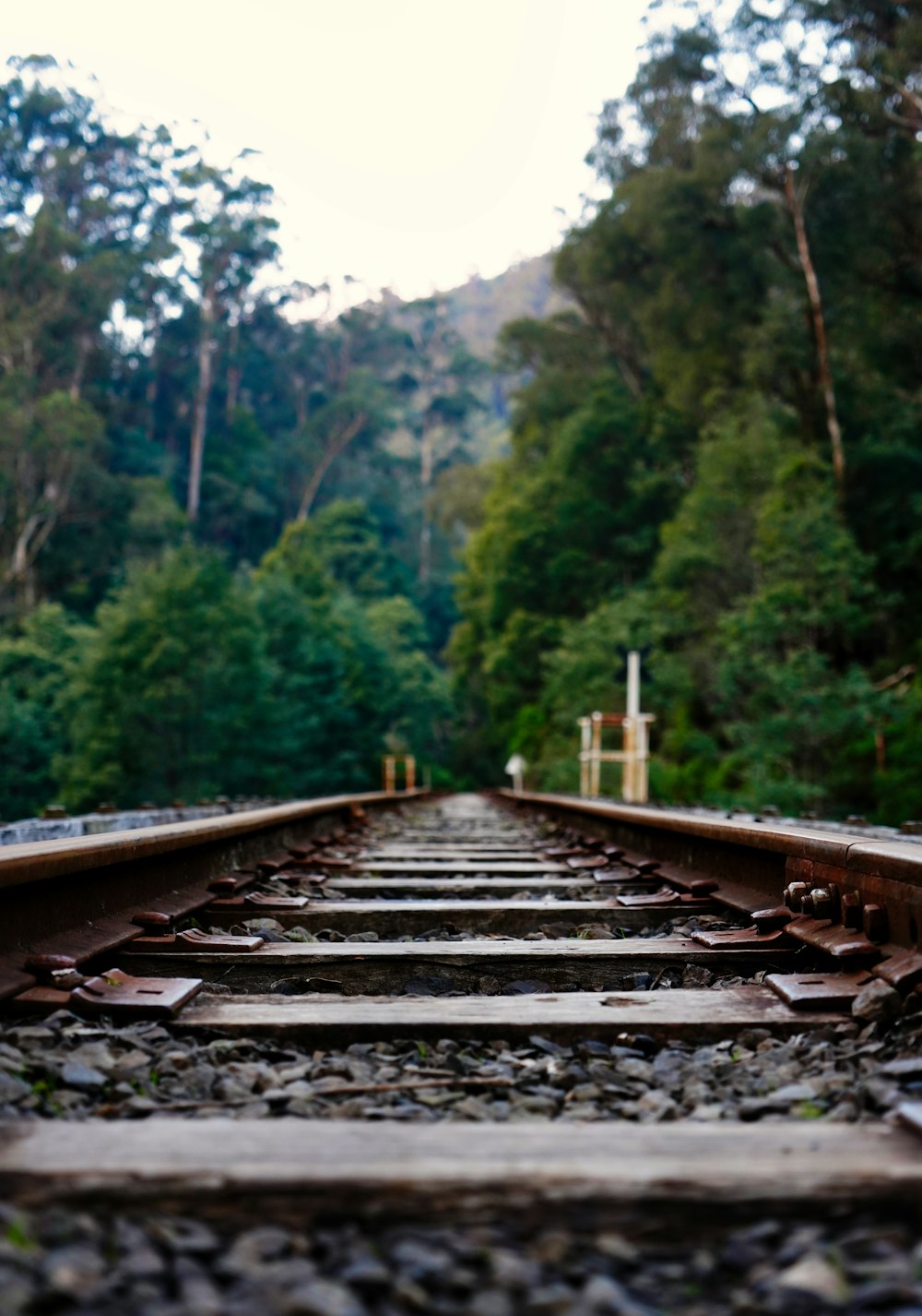 a train track with trees in the background