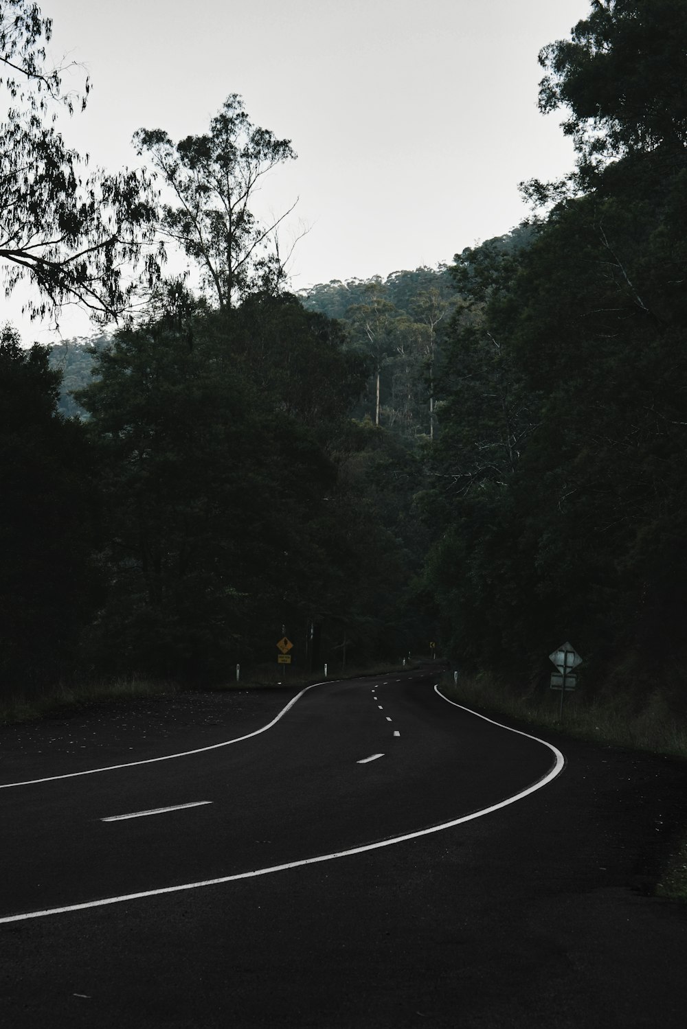 木々を背景にした道路のカーブ