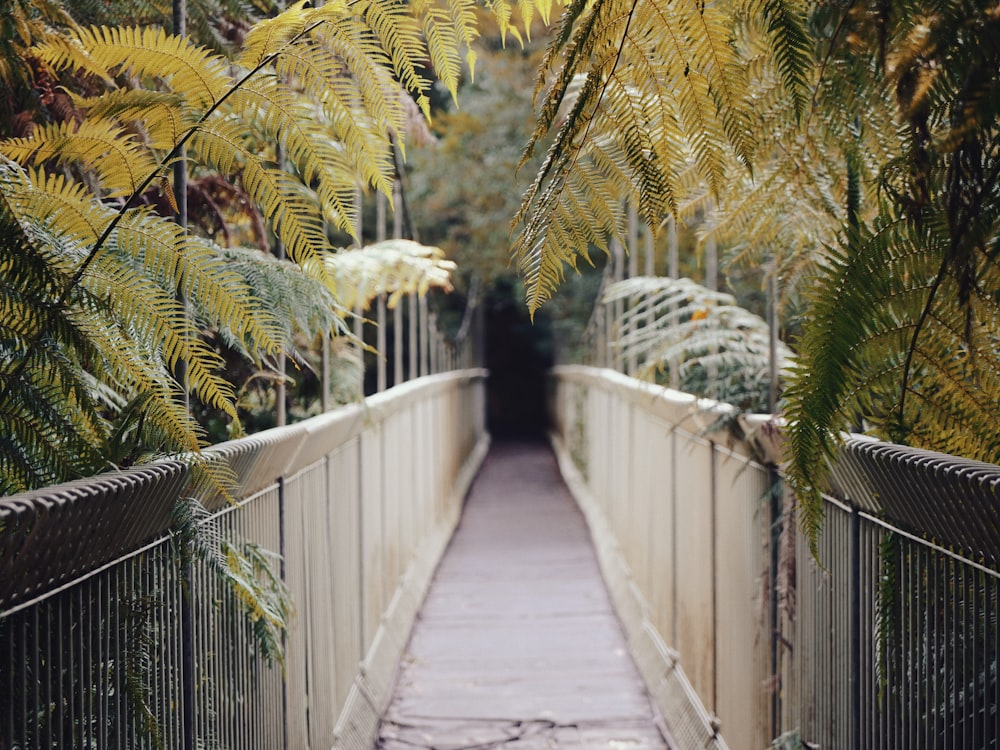 a walkway with a fence and trees in the background