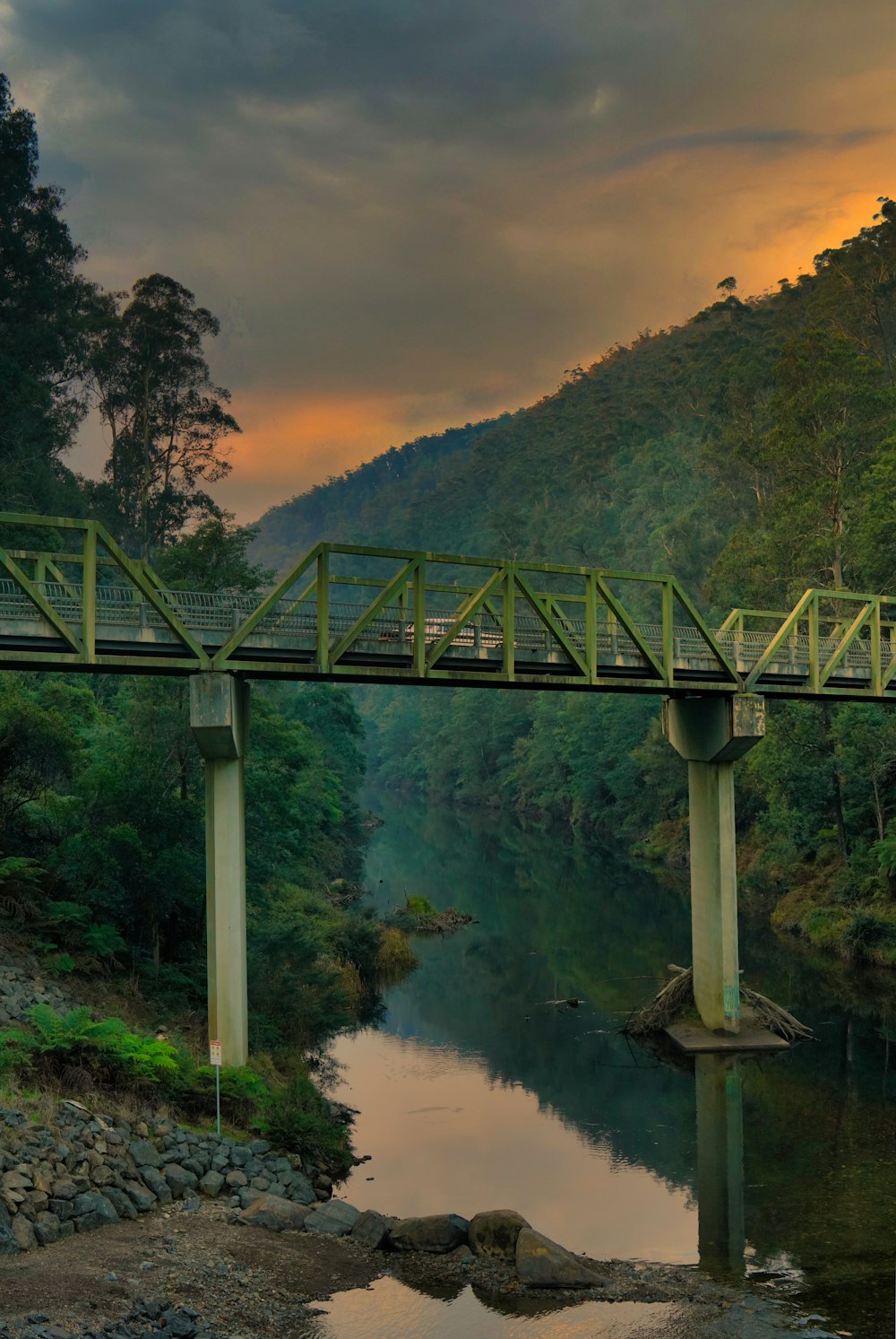 a bridge over a river with a train on it