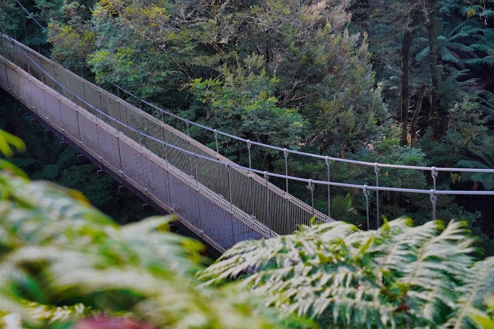 a man walking across a suspension bridge in a forest