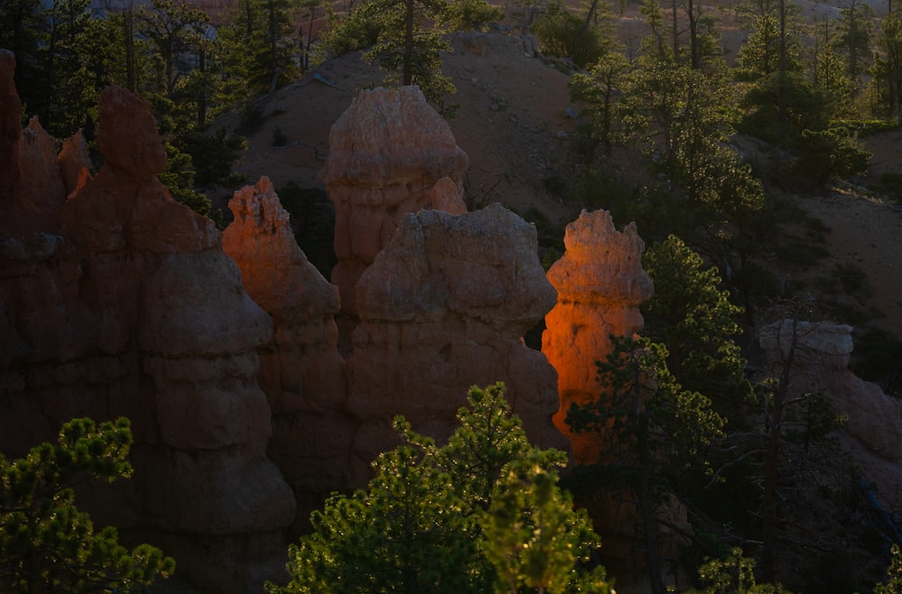 the sun is setting in the distance over the trees