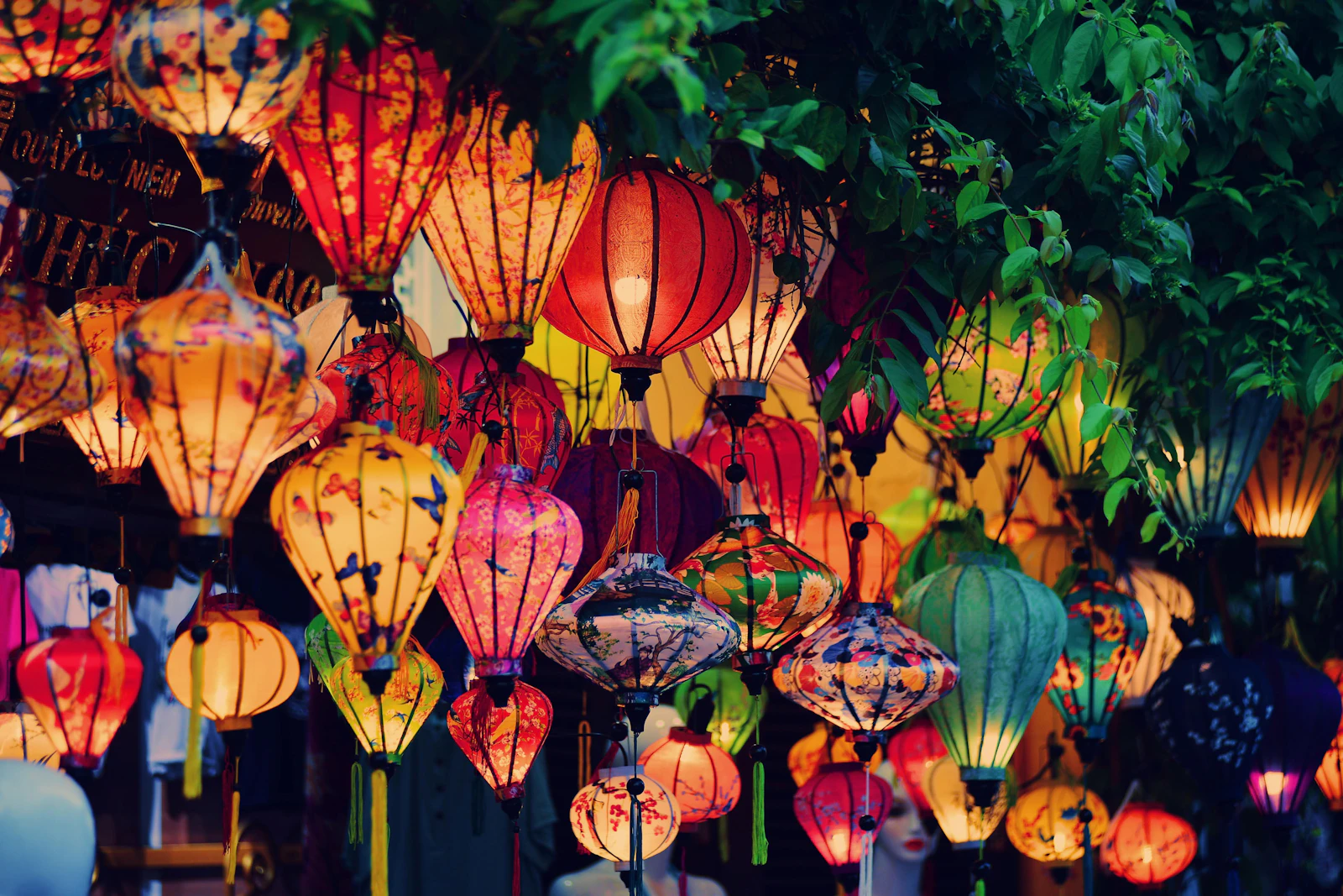 Hoi An Adventure & Lantern Nights