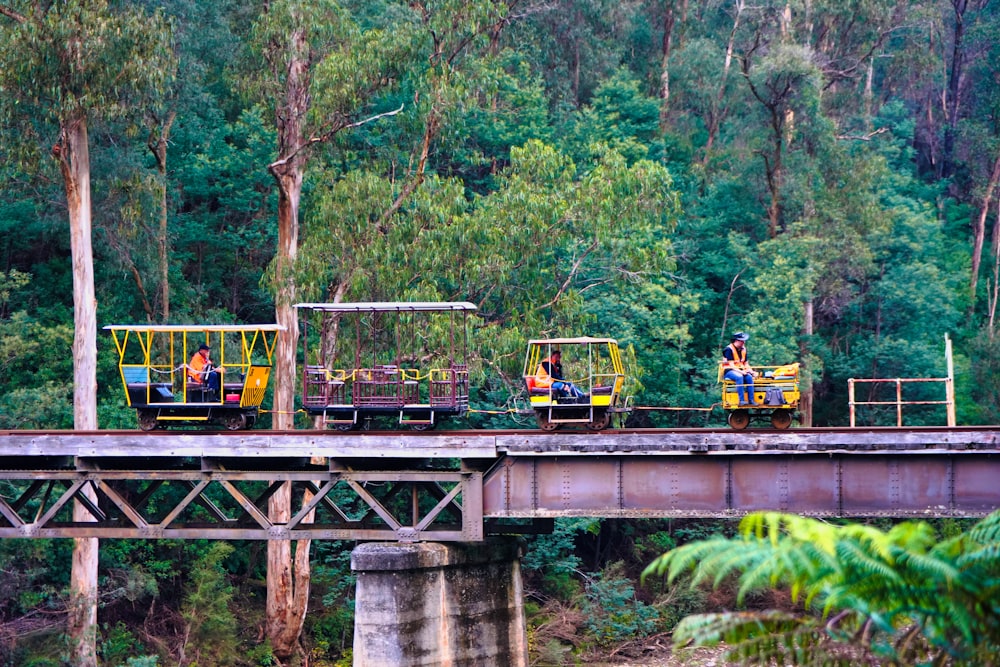 a group of people riding on top of a train on a bridge