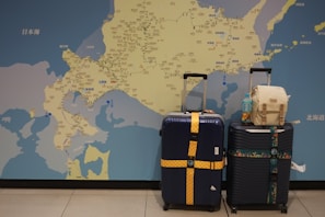 Two large suitcases with brightly colored straps are positioned in front of a detailed map on a wall. One suitcase has a yellow strap with polka dots, and the other has a strap with a cityscape design. A small beige backpack and a bottle of drink are placed on top of one of the suitcases. The map displays regions with cities and geographical details.