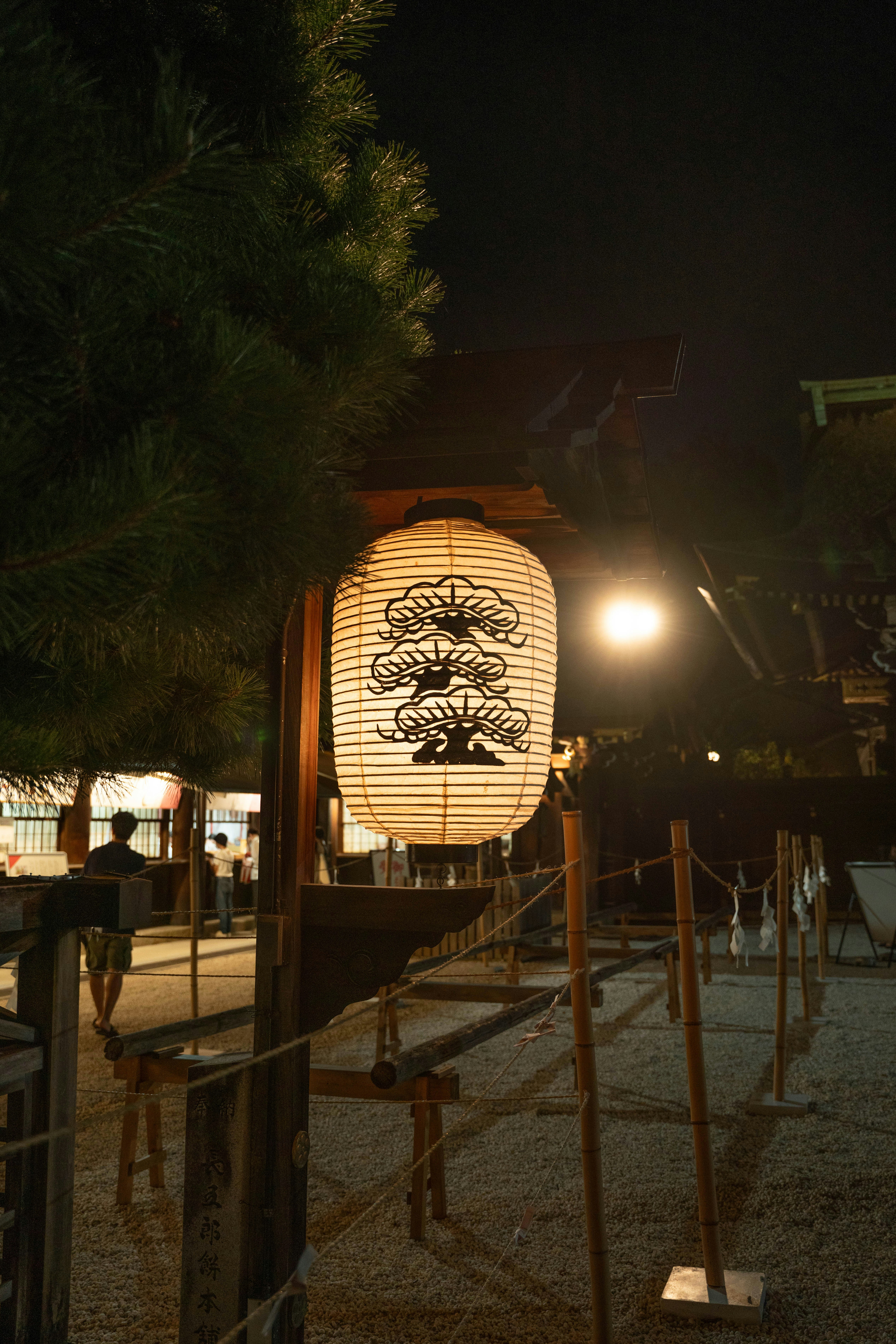 Photo by davidemrich